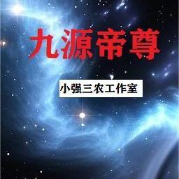 穿越团宠农家小糖宝